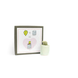 Mini Cactus Kit-Blue