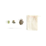 Mini Cactus Kit-Black