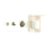 Mini Cactus Kit-White