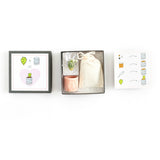 Mini Cactus Kit-Pink