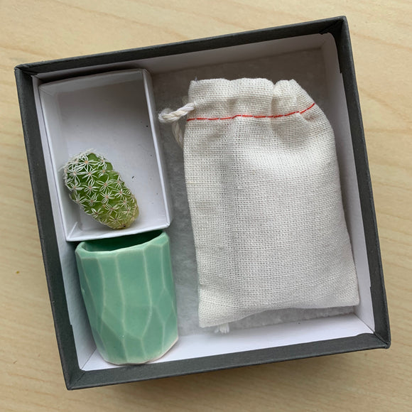 Mini Cactus Kit-Green (seasonal)