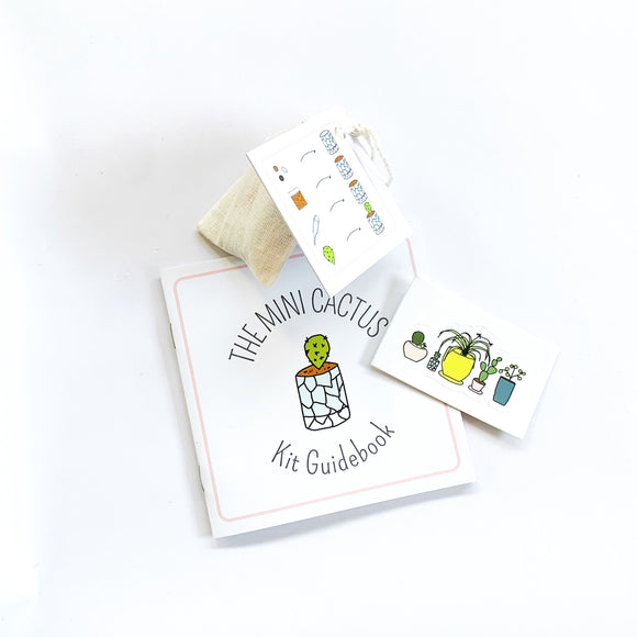 Itty Bitty Mini Cactus Kit Gift Set