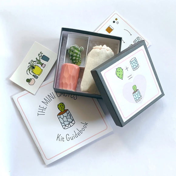 Mini Cactus Kit Gift Set