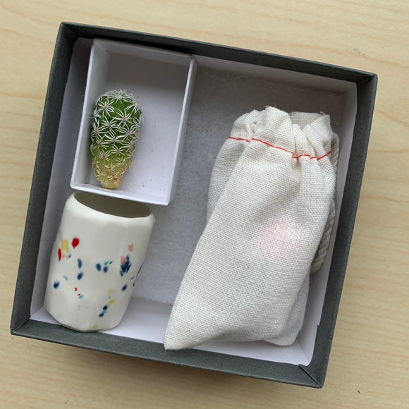 Mini Cactus Kit-Pink – Spalted Home
