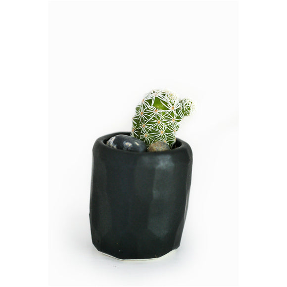 Mini Cactus Kit-Black