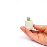 Mini Cactus Kit-White